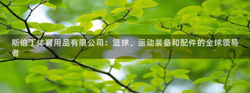 欧陆娱乐注册链接怎么弄的：斯伯丁体育用品有限公司：篮