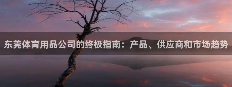 欧陆娱乐注册链接怎么弄：东莞体育用品公司的终极指南：