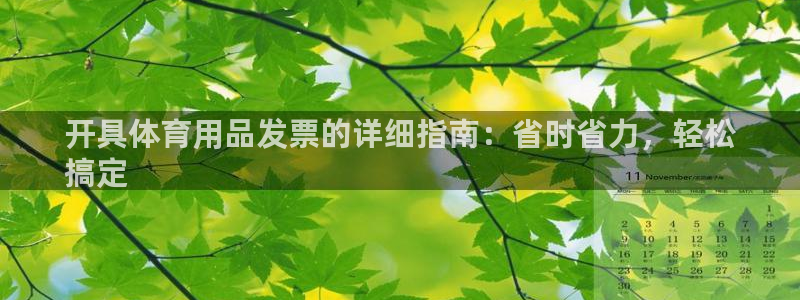 欧陆娱乐登录测速：开具体育用品发票的详细指南：省时省