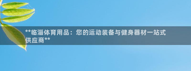 欧陆娱乐登录测速怎么关闭：**临淄体育用品：您的运动