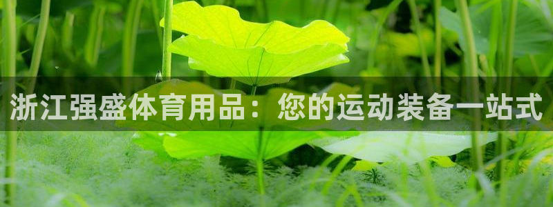 欧陆娱乐线路测速:浙江强盛体育用品:您的运动装备一站式
