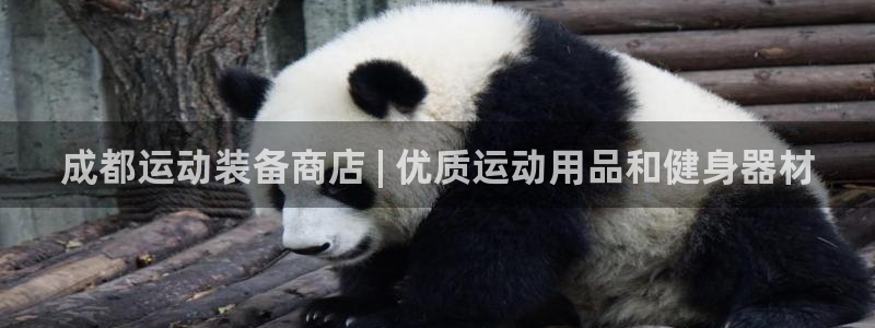 欧陆娱乐讲7O777:成都运动装备商店 | 优质运动用品和健