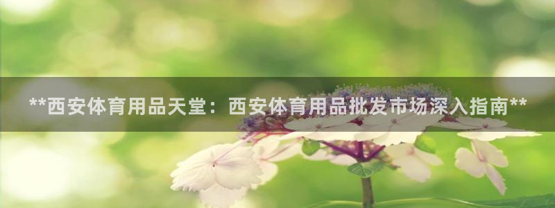 欧陆娱乐平台登陆地址在哪:**西安体育用品天堂:西安体育用品