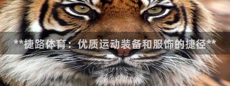 欧陆娱乐共创美好时刻:**捷路体育:优质运动装备和服饰的捷径