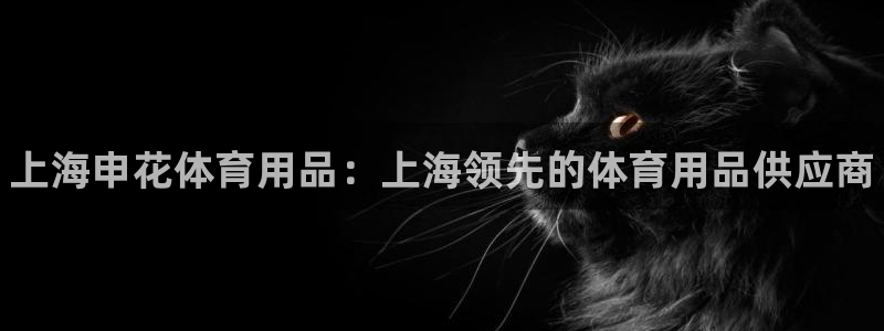 欧陆娱乐代理多少个点位:上海申花体育用品:上海领先的体育用品